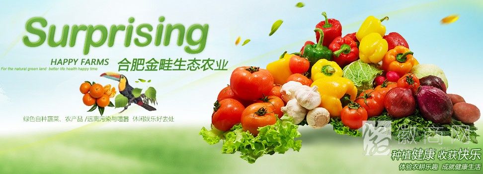 合肥金畦生态农业有限公司 展示