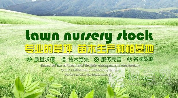 珠龙义运草坪苗木销售部 展示
