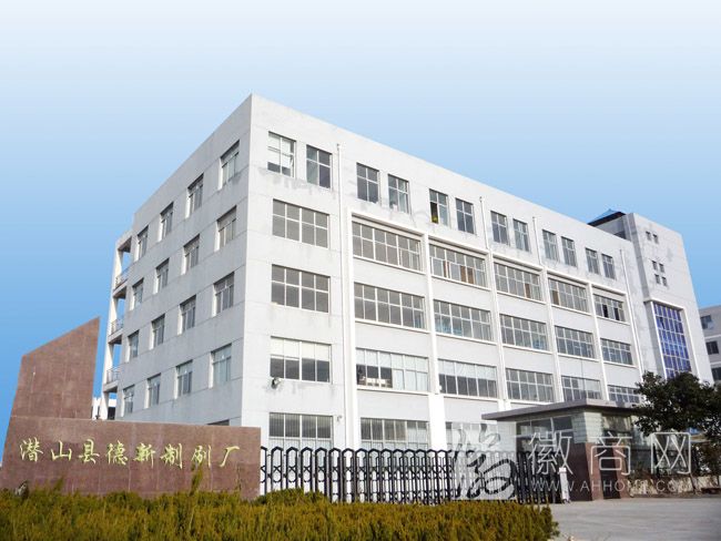 潜山县德新制刷厂