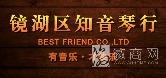 镜湖区知音琴行