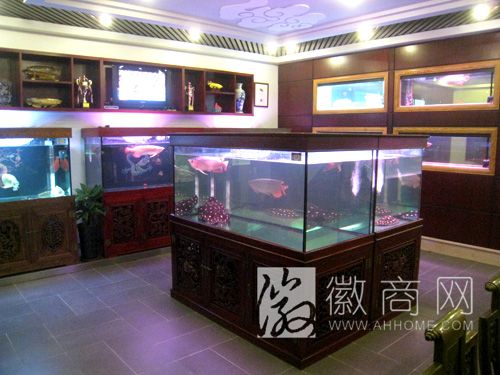 合肥聚龙阁贸易有限公司