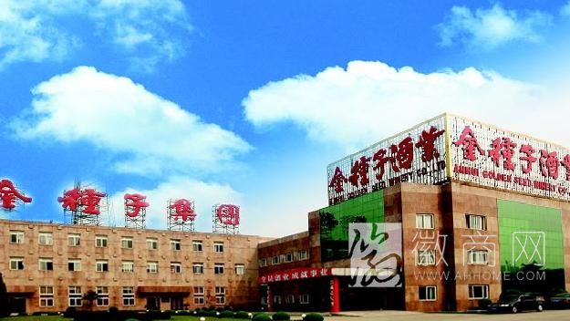 安徽金种子集团有限公司