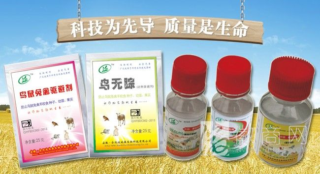 合肥遍地春生物科技有限公司 产品展示