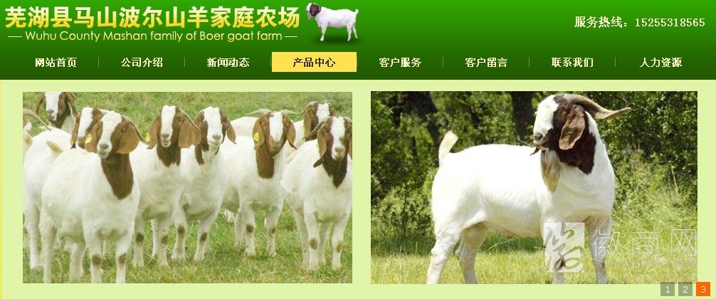 芜湖县马山波尔山羊家庭农场 山羊展示