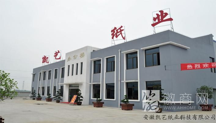 安徽凯艺纸业科技有限公司 公司展示
