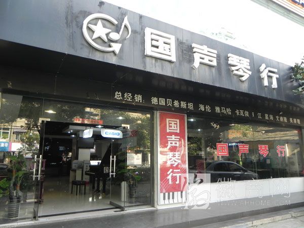 安徽省国声琴行有限公司