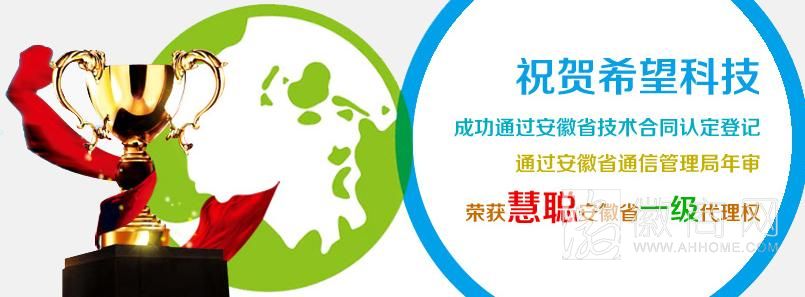 安徽希望网络科技有限公司