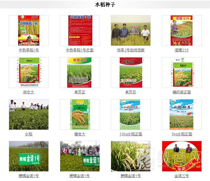 安徽三高种业科技有限公司