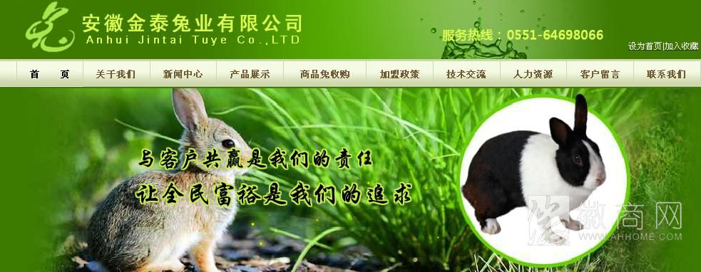 安徽金泰兔业有限公司官方网站