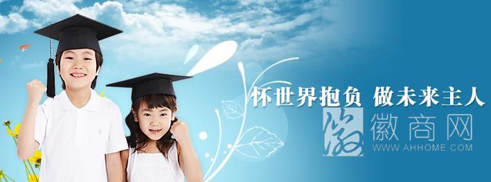 阜阳未来学校