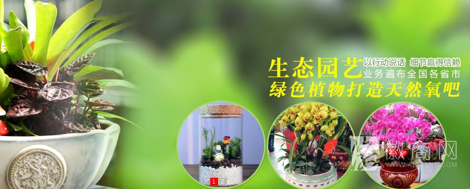 合肥维蕊花木有限公司