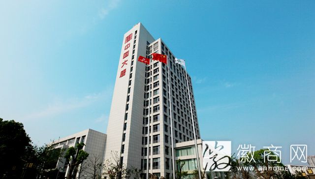 大唐安徽发电有限公司