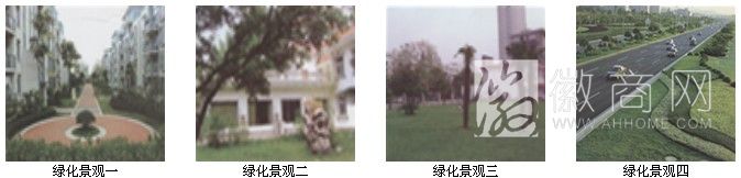 安徽上林园林绿化工程有限公司 绿化景观案例