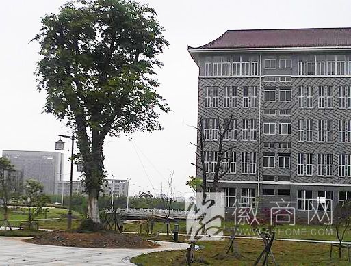 安徽双龙园林绿化工程有限公司 工程案例