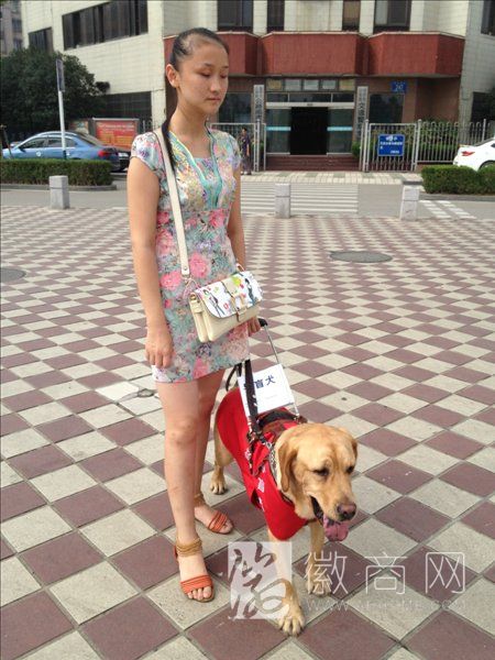 安徽首只导盲犬Fighter持证上岗 张晨和Fighter