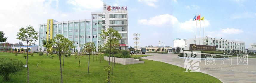 安徽新锦丰集团