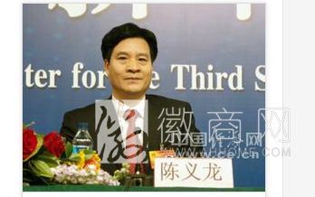 陈义龙 武汉凯迪控股投资有限公司