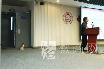<a href='display.asp?id=11626' target='_blank'>中科大</a>会场猫咪与院士潘建伟抢镜 中科大会场惊现猫咪