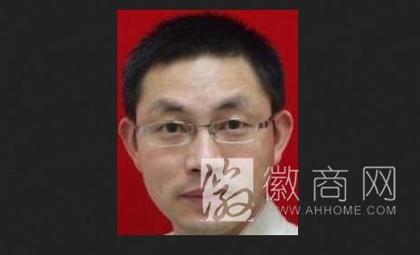 陈国明 合肥高新建设投资集团公司