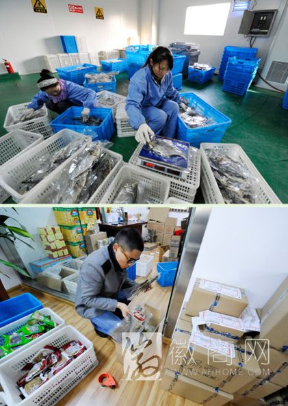 马鞍山封鳊鱼 <a href='display.asp?id=11575'  target='_blank'>电子商务</a>