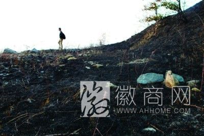 <a href='display.asp?id=11739'  target='_blank'>肥东</a>县包公镇百亩山林突发大火 火被扑灭后留下的灰烬