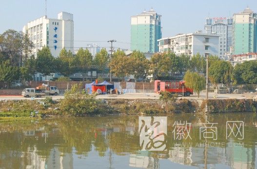 巢湖路奇石市场整体撤离 巢湖路奇石市场