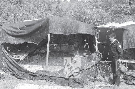 东至县两万只候鸟遭猎捕 被捕到的鸟