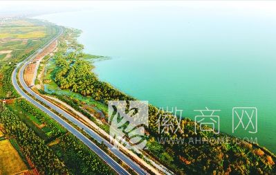 <a href='display.asp?id=11964' target='_blank'>环巢湖</a> 生态林 巢湖