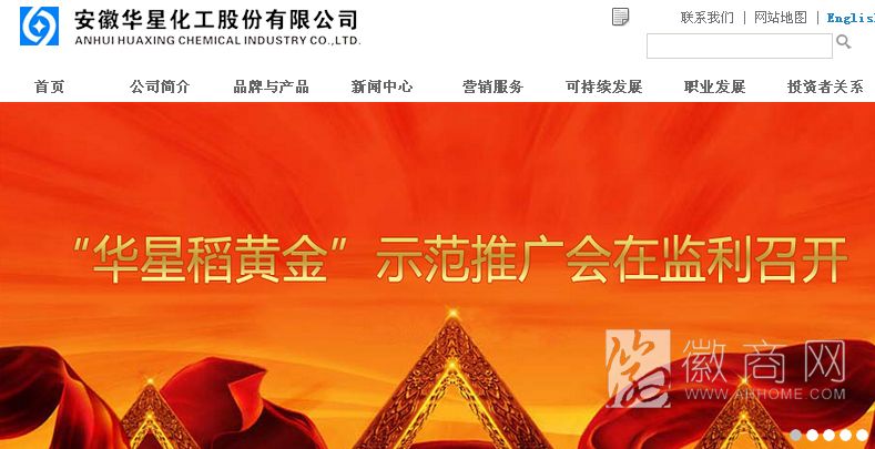 安徽华星化工集团