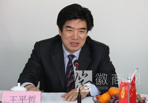 王平哲 北京曦强集团投资公司 北京曦强王平哲