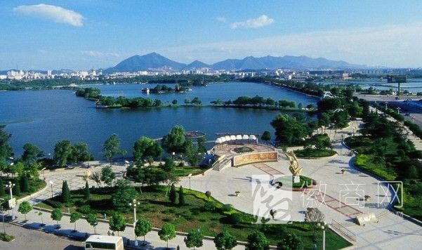 铜陵市 境外投资额