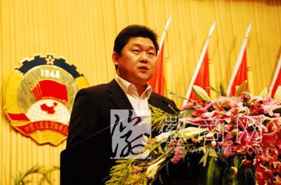 晏文胜安徽南峰实业集团有限公司