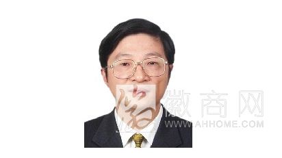 潘一新 安庆环新集团