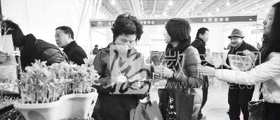 <a href='display.asp?id=9702' target='_blank'>合肥农产品产销对接会</a> 农产品产销对接会