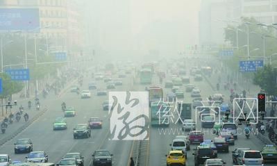 城市空气质量 空气质量 合肥