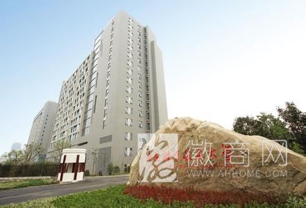 合肥基础科研能力 合肥 科研