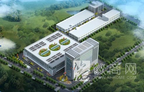 客来福 国际市场 上市