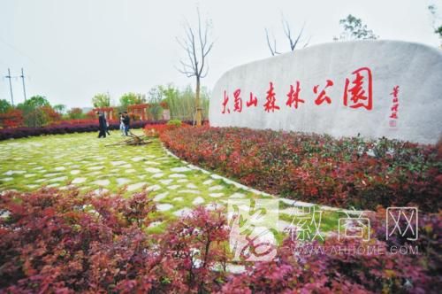 合肥大蜀山 大蜀山