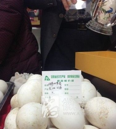 安徽<a href='display.asp?id=8840' target='_blank'>农交会</a> 上海 土货