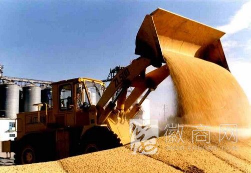 2013年合肥秋粮收购 粮食收购