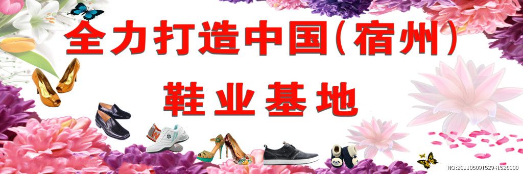 宿州制鞋产业高层论坛
