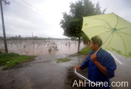 <a href='display.asp?id=12239'  target='_blank'>黄山</a>暴雨5人死亡 <a href='display.asp?id=12239'  target='_blank'>黄山</a>暴雨 皖南暴雨
