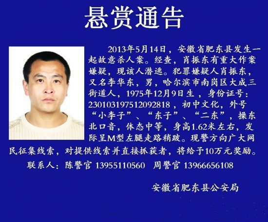 <a href='display.asp?id=11739' target='_blank'>肥东</a>女孩被害案 肖振东自杀
