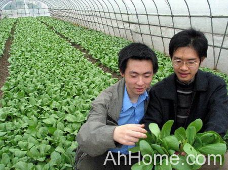 <a href='display.asp?id=12239' target='_blank'>黄山</a>市推出大学生农村创业优惠政策 大学生农村创业