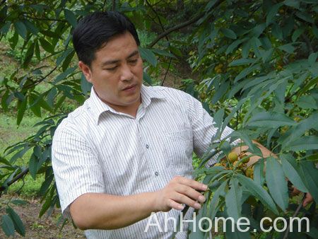 詹权胜 安徽詹氏天然食品有限公司 詹权胜照片