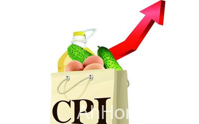 安徽省<a href='display.asp?id=12460'  target='_blank'>CPI</a>上涨 安徽省物价指数上涨