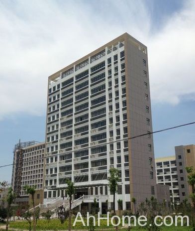 <a href='display.asp?id=11549' target='_blank'>怀远</a>国土局12层办公楼 怀远国土局违建