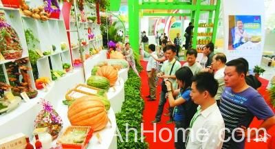 2013年<a href='display.asp?id=8596' target='_blank'>合肥农交会</a> 往届<a href='display.asp?id=8596' target='_blank'>合肥农交会</a>