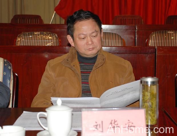 庐江县原副县长刘华安 刘华安照片