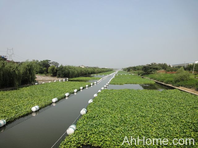 <a href='display.asp?id=13372'  target='_blank'>安徽水利</a>项目 <a href='display.asp?id=13372'  target='_blank'>安徽水利</a>建设提速